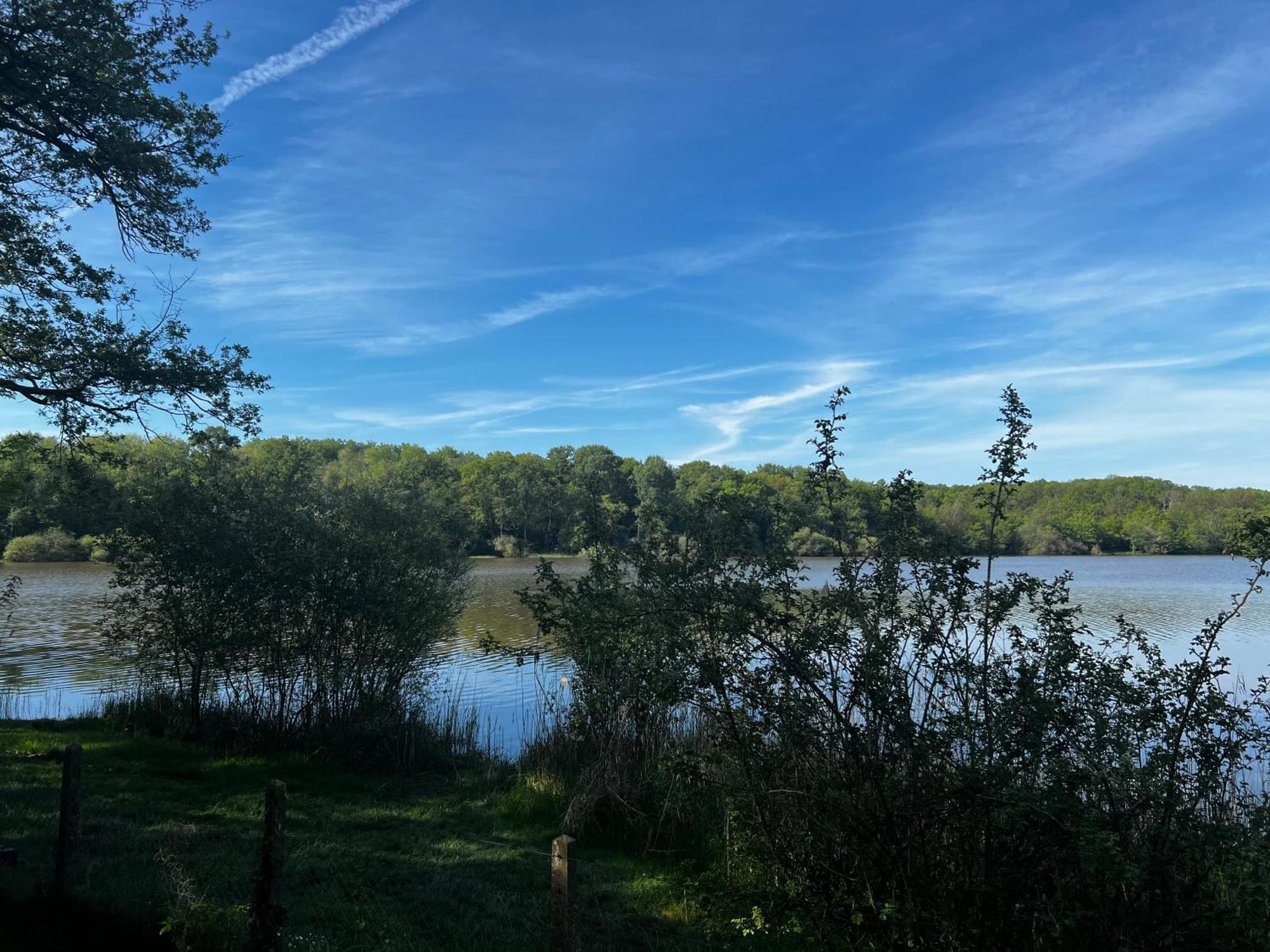 Chalet Au Bord De L'Etang 4 Pers Les Boulmiers Exteriör bild